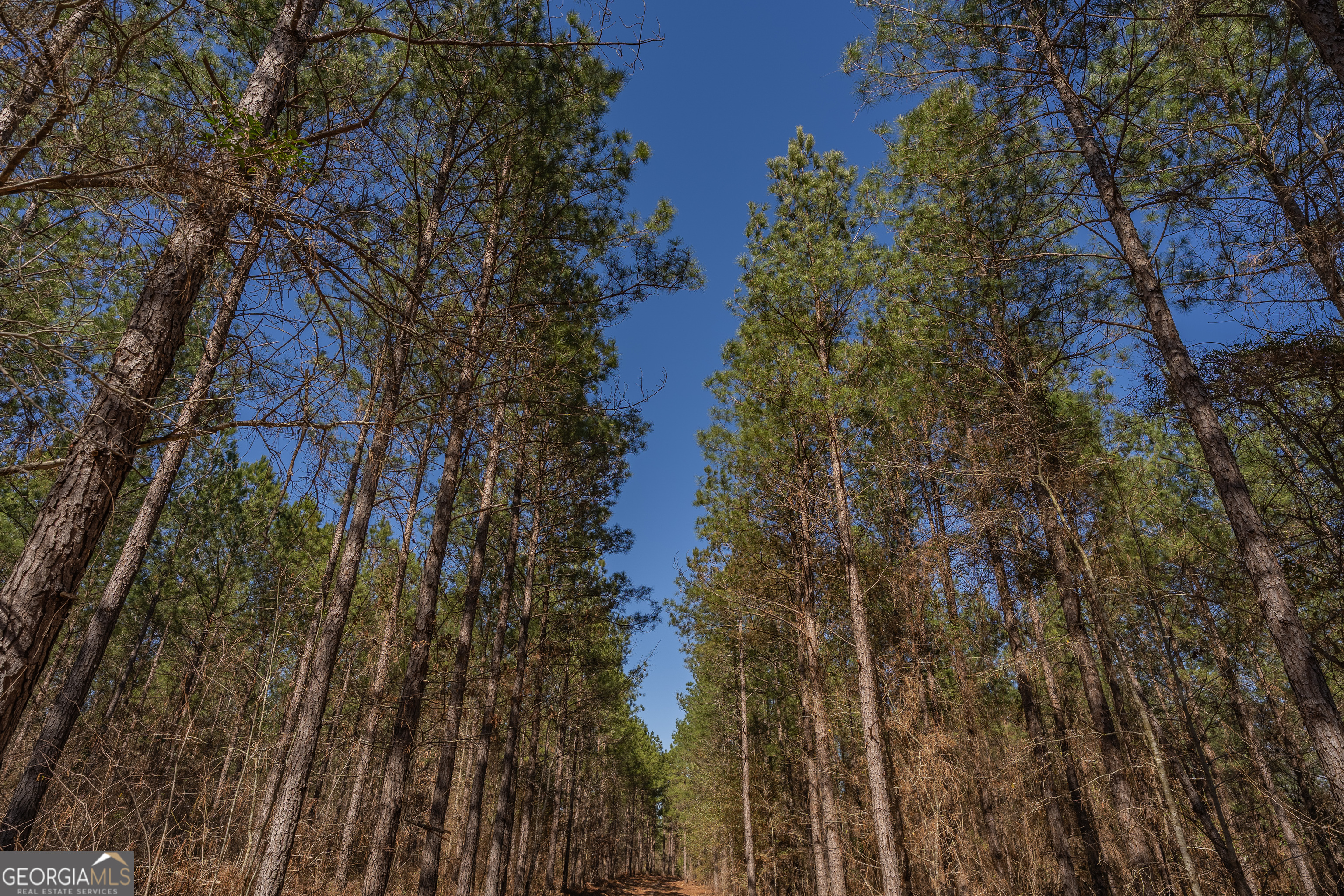Lot 7 Golf Course Road Eastman, GA 31023 - Photo 35 of 47 a view of a yard