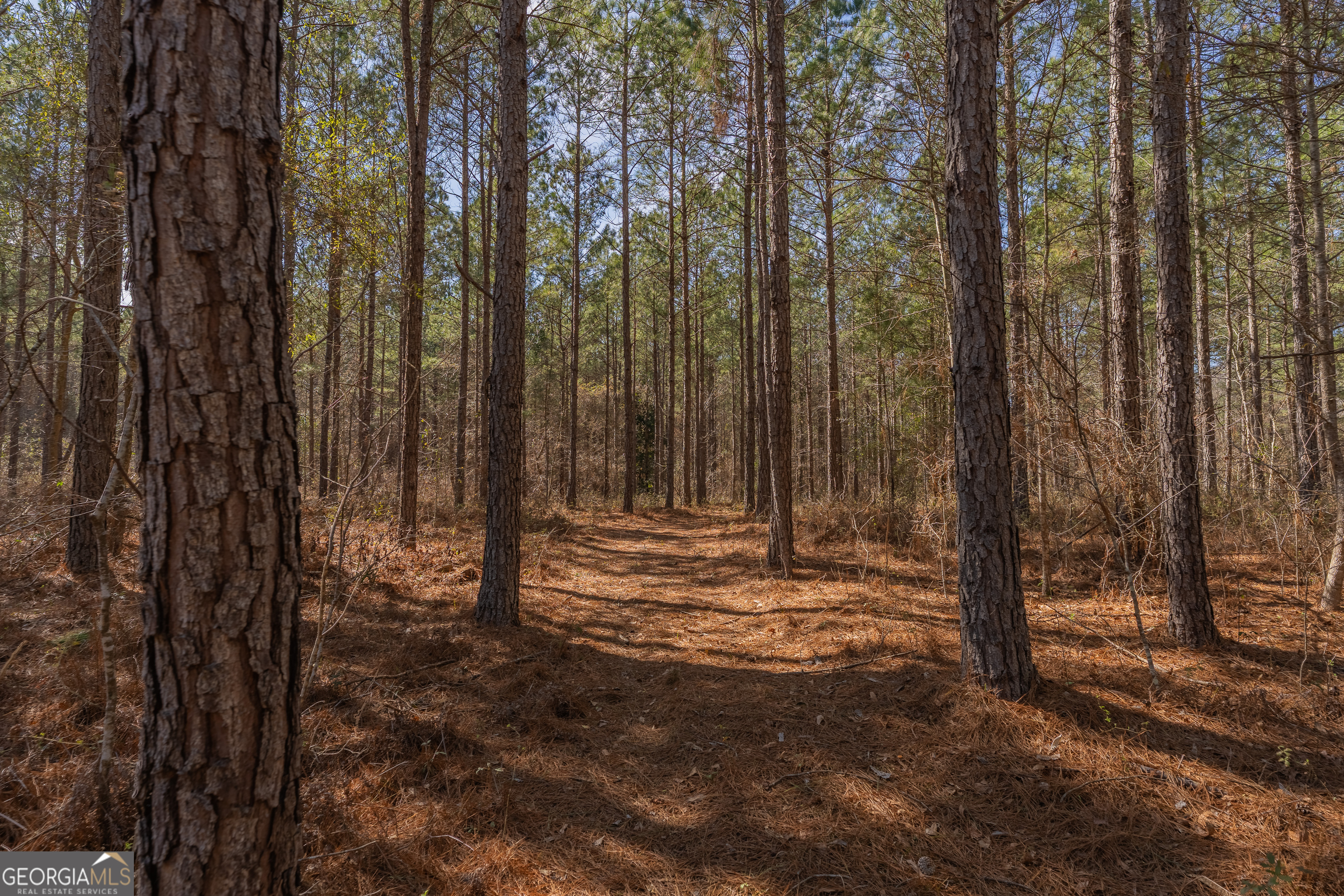 Lot 7 Golf Course Road Eastman, GA 31023 - Photo 36 of 47 a view of outdoor space with trees