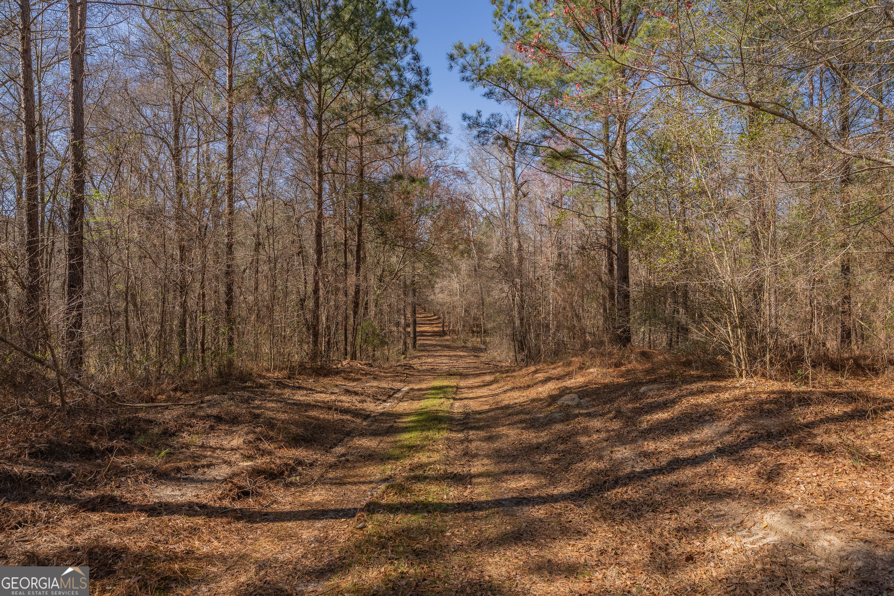 Lot 7 Golf Course Road Eastman, GA 31023 - Photo 38 of 47 a view of a yard with a tree