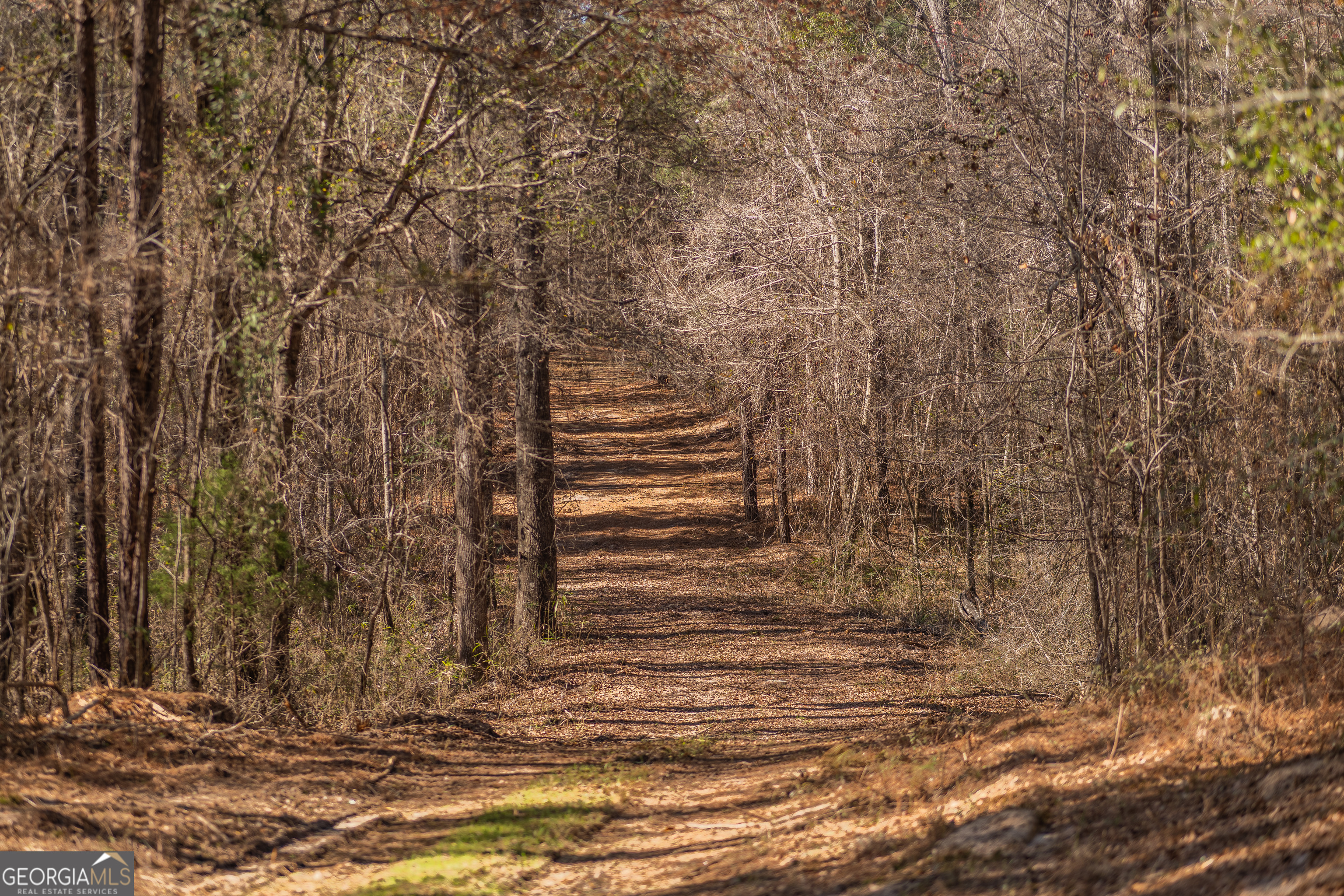 Lot 7 Golf Course Road Eastman, GA 31023 - Photo 39 of 47 a view of outdoor space and yard