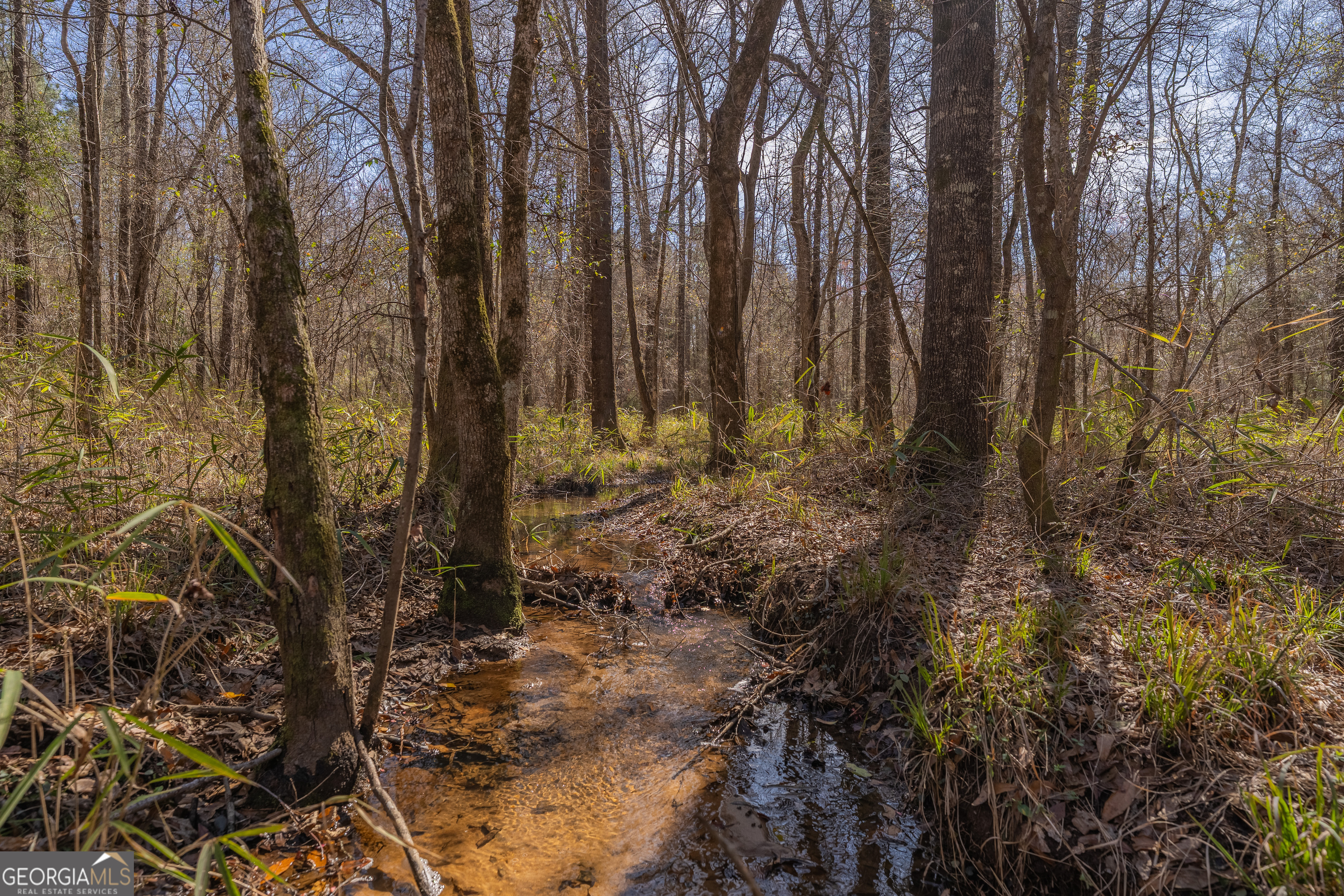 Lot 7 Golf Course Road Eastman, GA 31023 - Photo 40 of 47