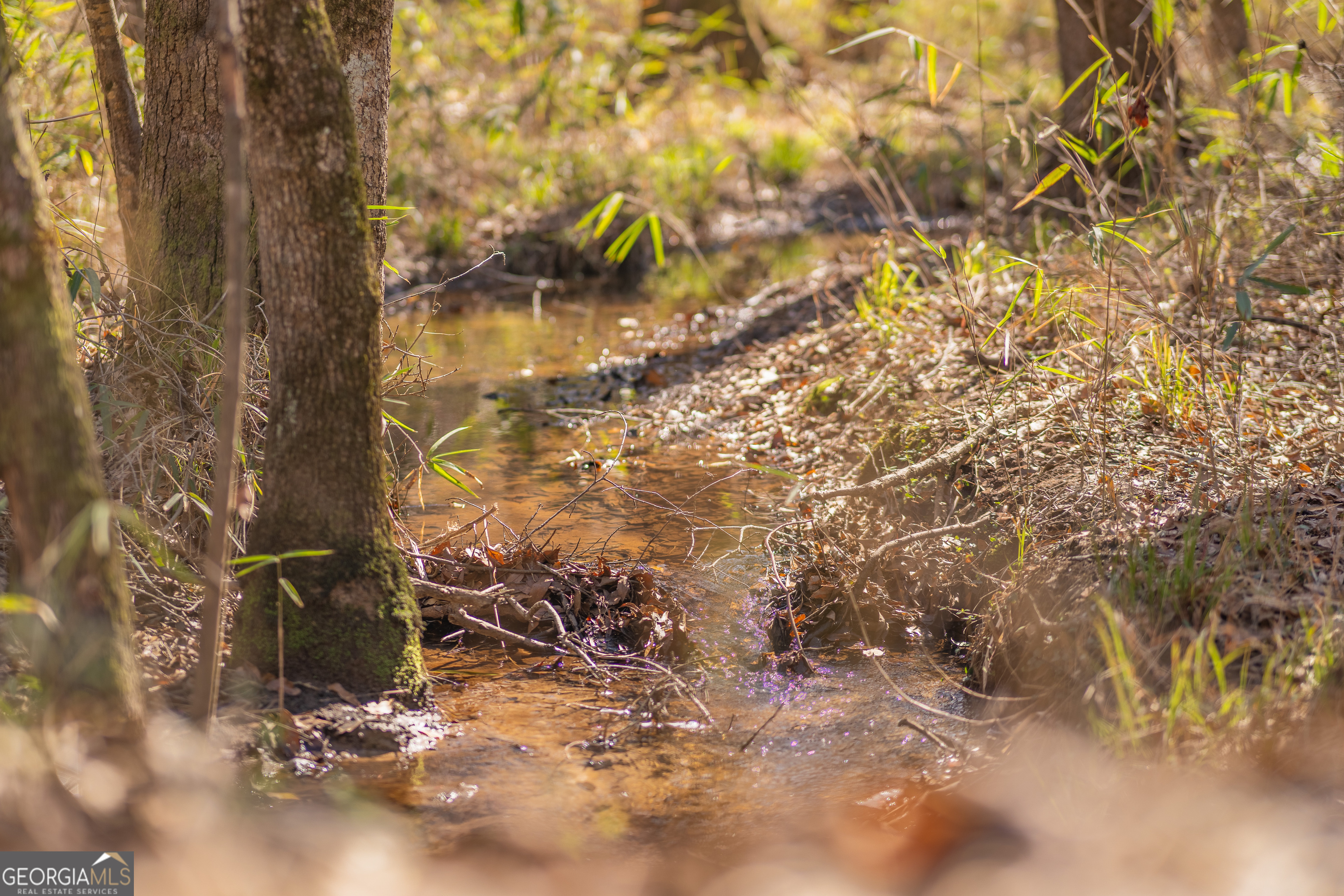 Lot 7 Golf Course Road Eastman, GA 31023 - Photo 41 of 47 a view of outside space