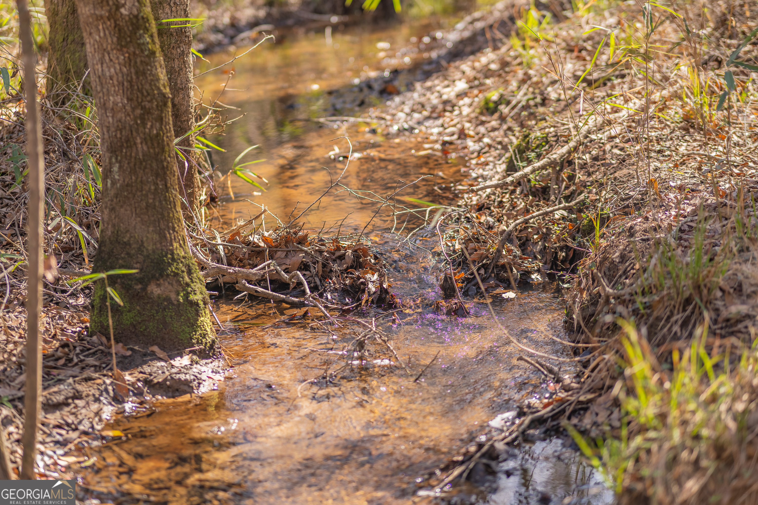 Lot 7 Golf Course Road Eastman, GA 31023 - Photo 42 of 47 a view of a yard