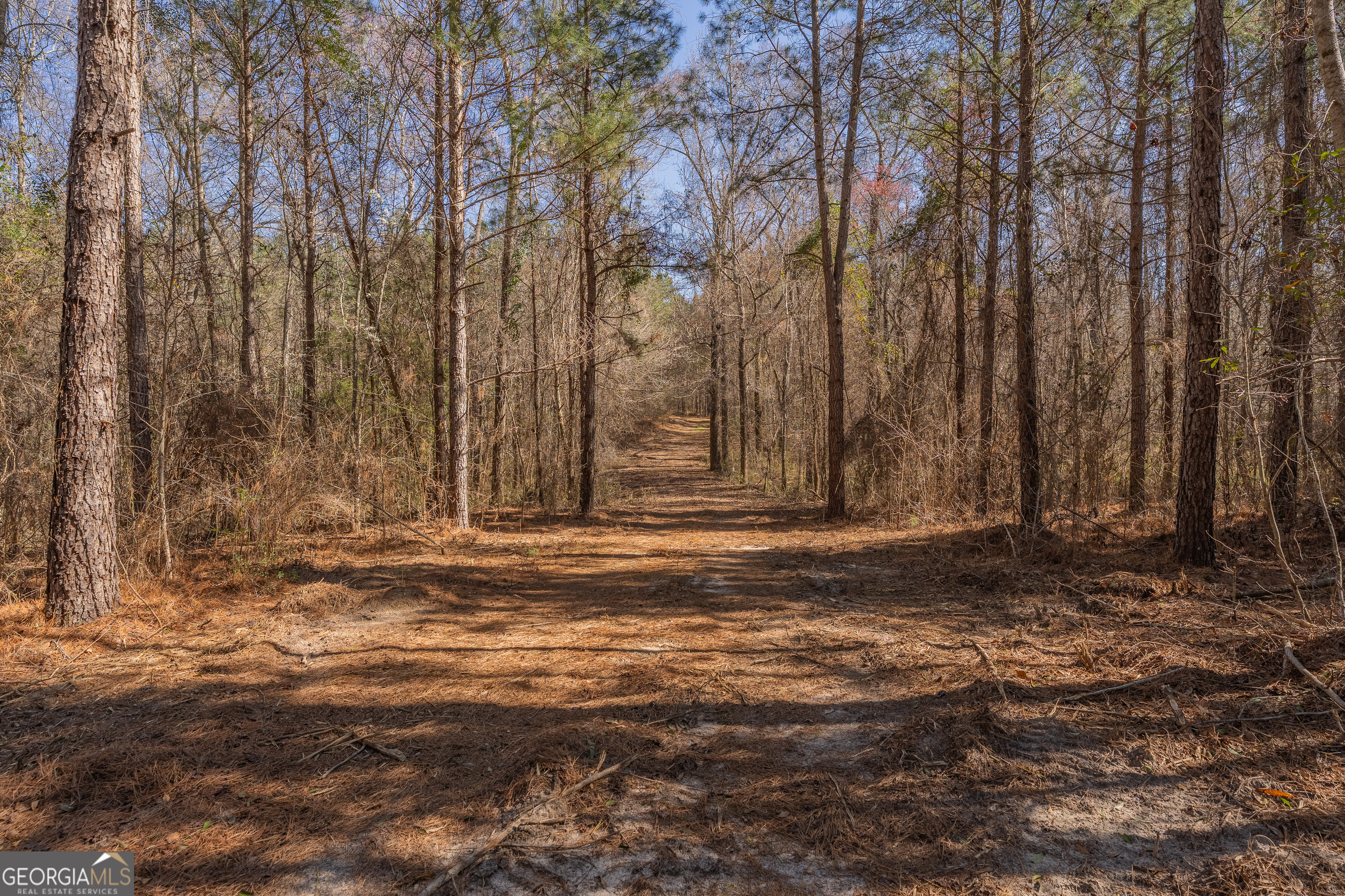 Lot 7 Golf Course Road Eastman, GA 31023 - Photo 44 of 47 a view of a yard with large trees