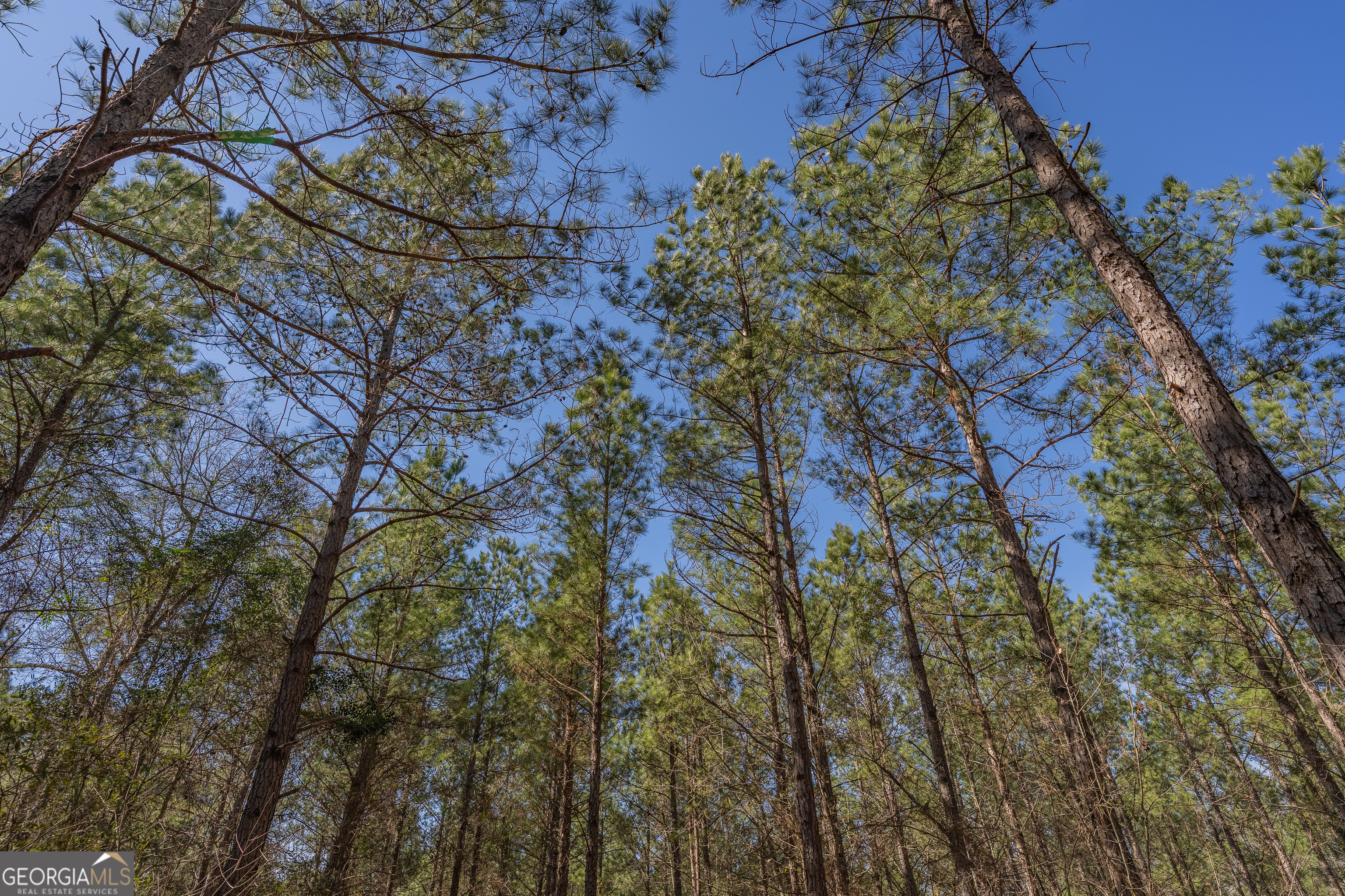 Lot 7 Golf Course Road Eastman, GA 31023 - Photo 45 of 47 a backyard of a house