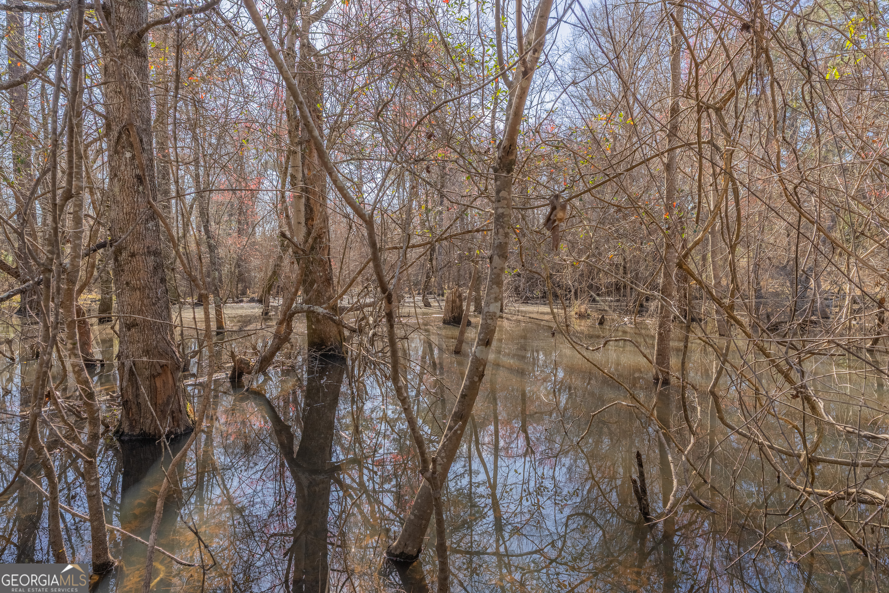 Lot 7 Golf Course Road Eastman, GA 31023 - Photo 46 of 47 a view of a yard