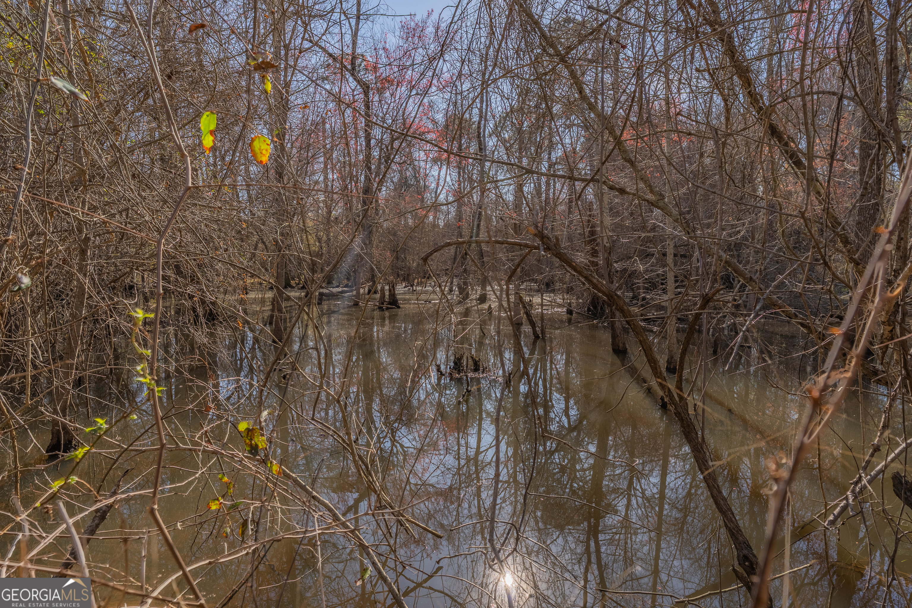 Lot 7 Golf Course Road Eastman, GA 31023 - Photo 47 of 47 a view of a field of the trees