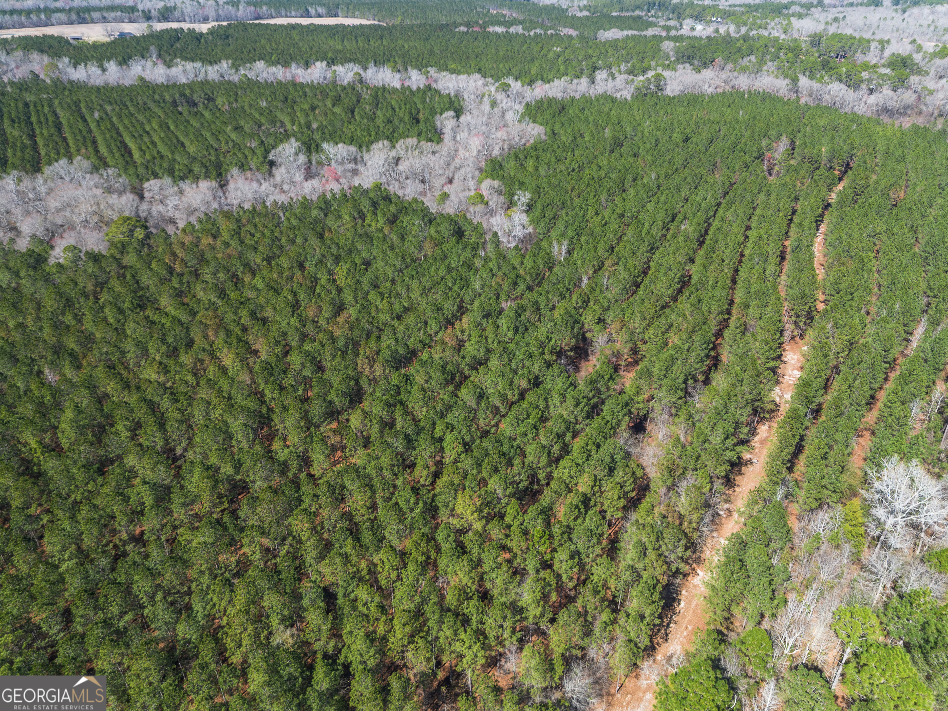Lot 7 Golf Course Road Eastman, GA 31023 - Photo 5 of 47 a view of a lake with a building in the background