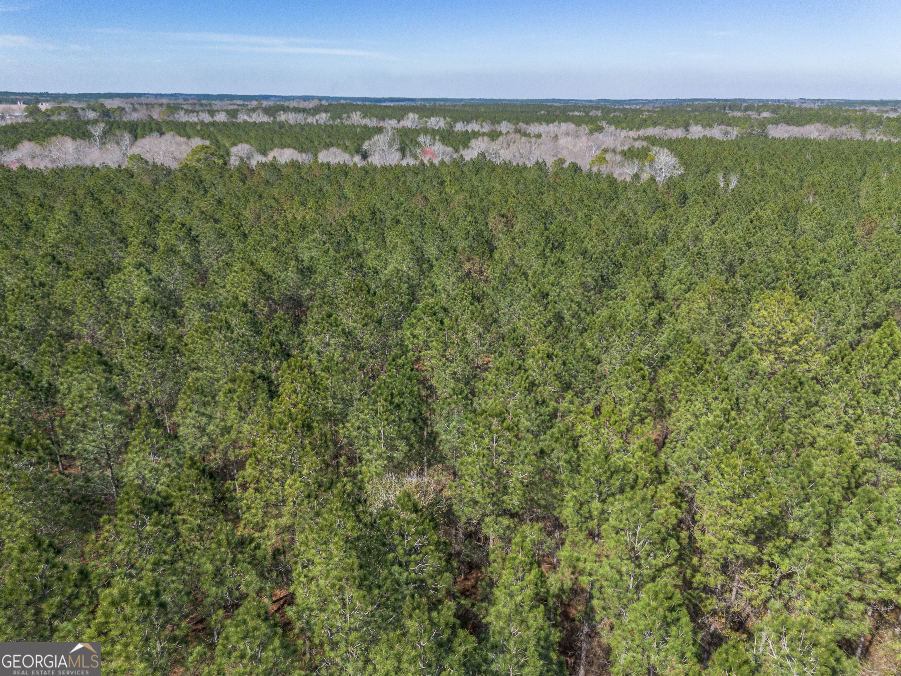 Lot 7 Golf Course Road Eastman, GA 31023 - Photo 7 of 47 a view of a city with lush green forest