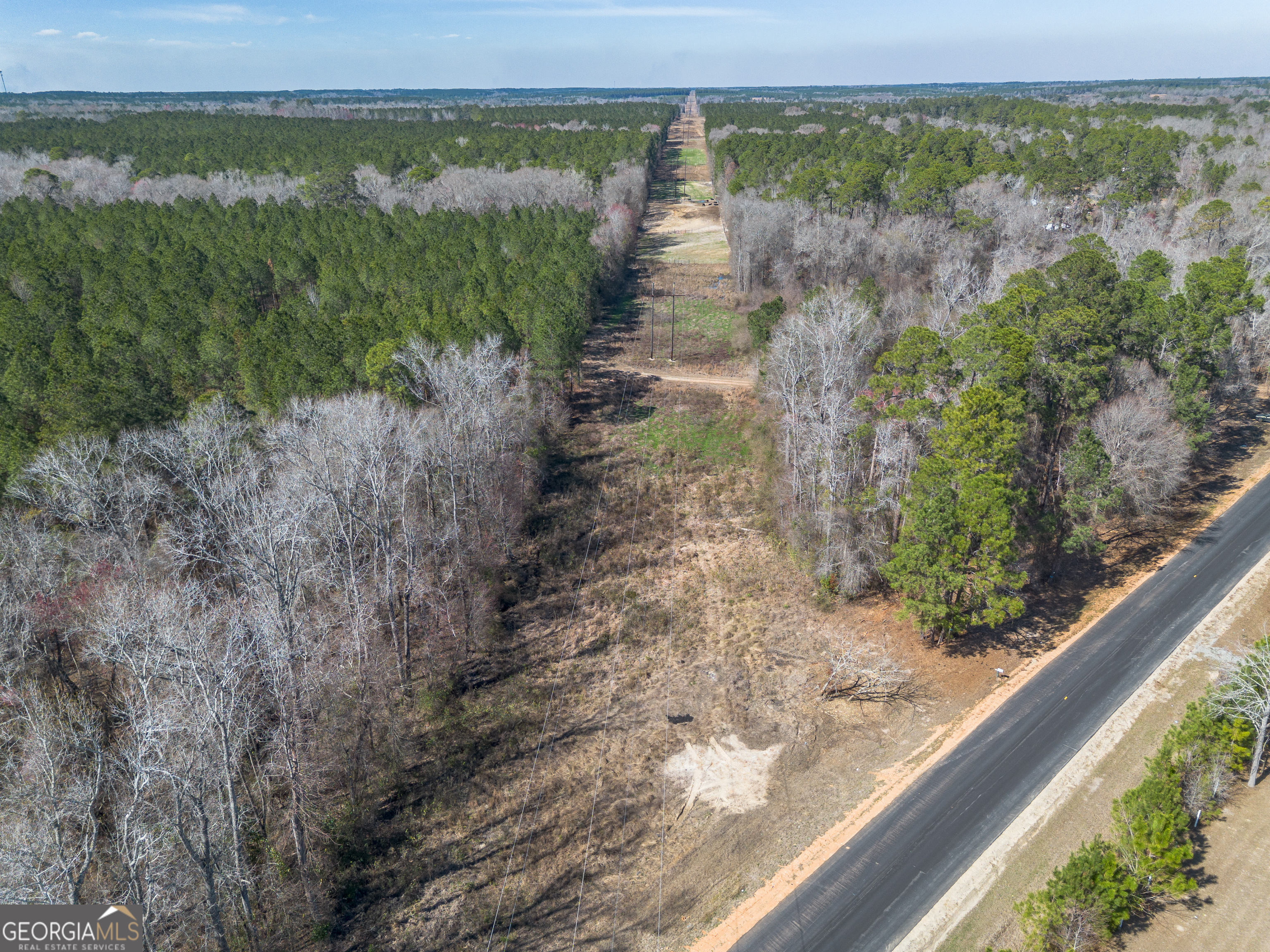 Lot 7 Golf Course Road Eastman, GA 31023 - Photo 8 of 47 a view of a lake with a mountain