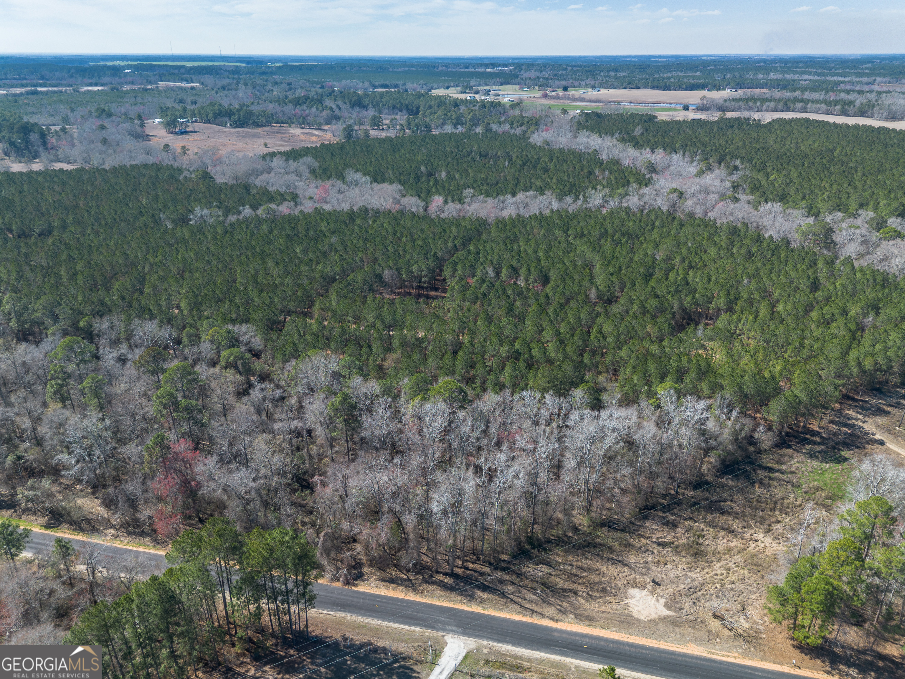 Lot 7 Golf Course Road Eastman, GA 31023 - Photo 10 of 47 a view of a forest with a forest