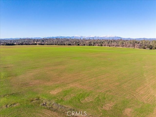 0 Old Gold Road Cottonwood, CA 96022 - Photo 13 of 53