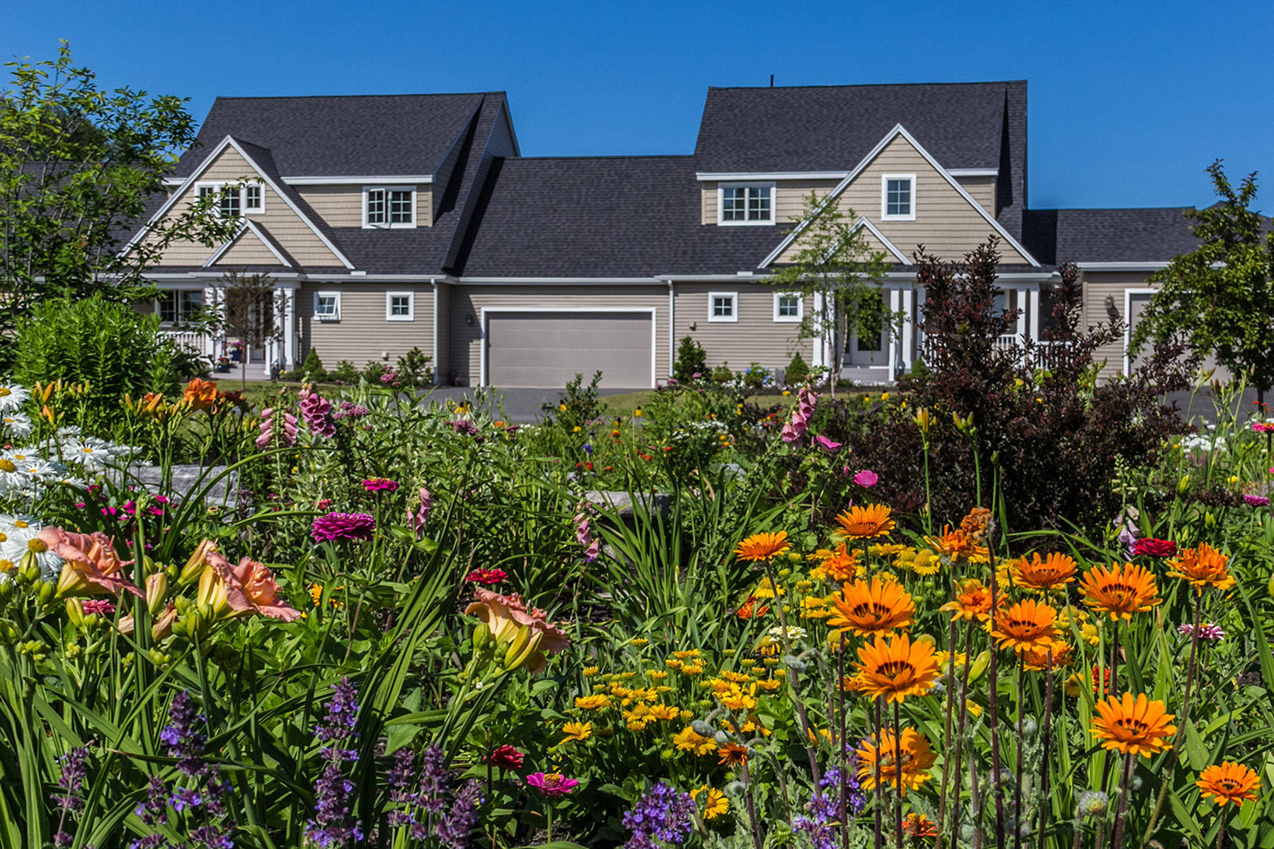 9and11LadySlipper_46_print