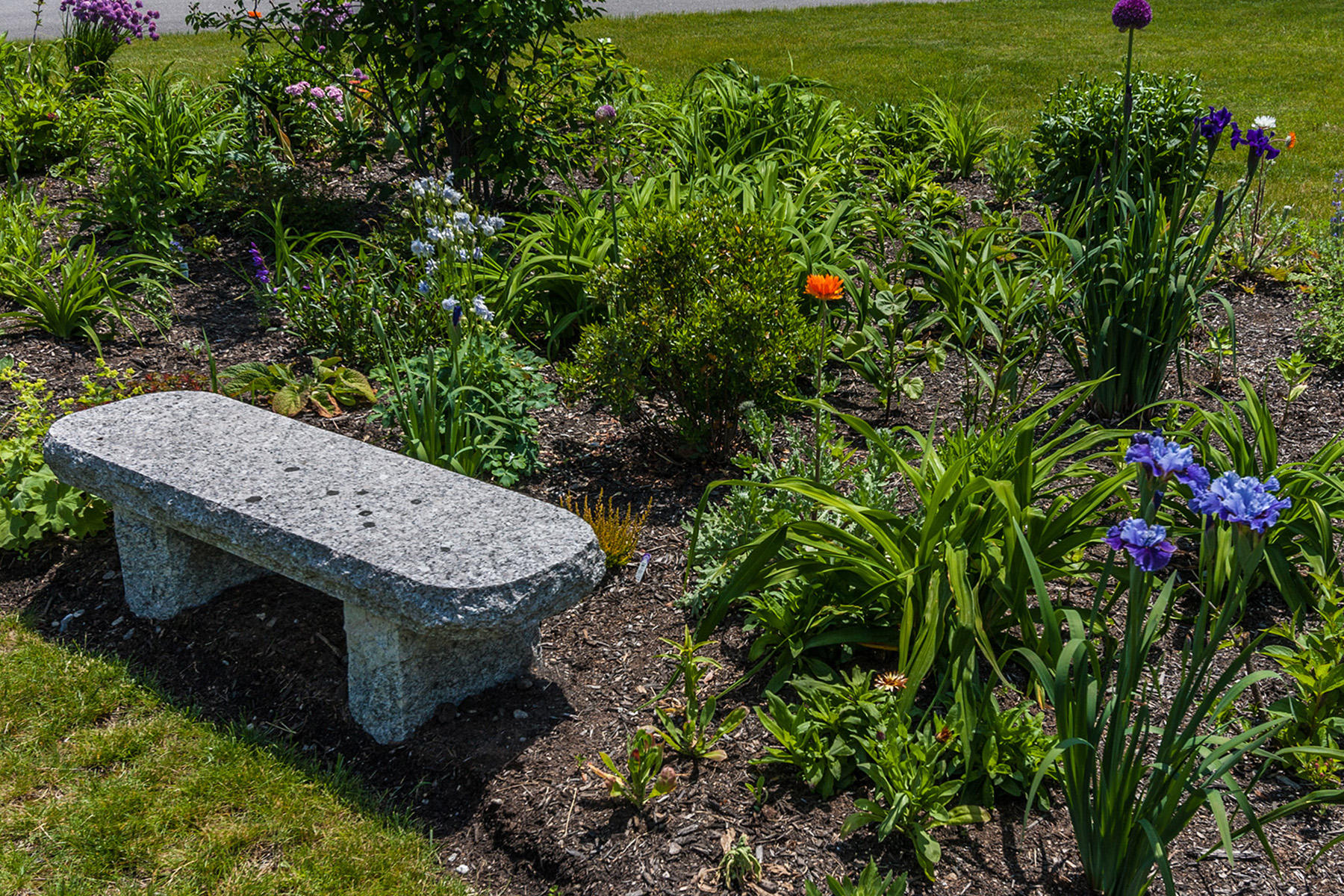 2 Foxglove Way, Unit 89 Brunswick, ME 04011 - Photo 20 of 24 Garden_37_print