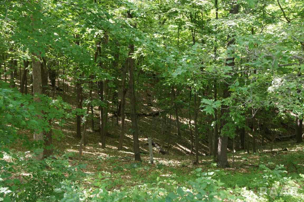 415 West Singing Woods Road Chillicothe, IL 61523 - Photo 21 of 28 Gallery Image 21
