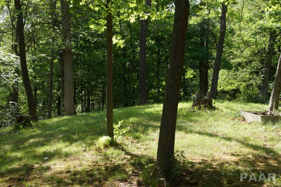 415 West Singing Woods Road Chillicothe, IL 61523 - Photo 22 of 28 Gallery Image 22
