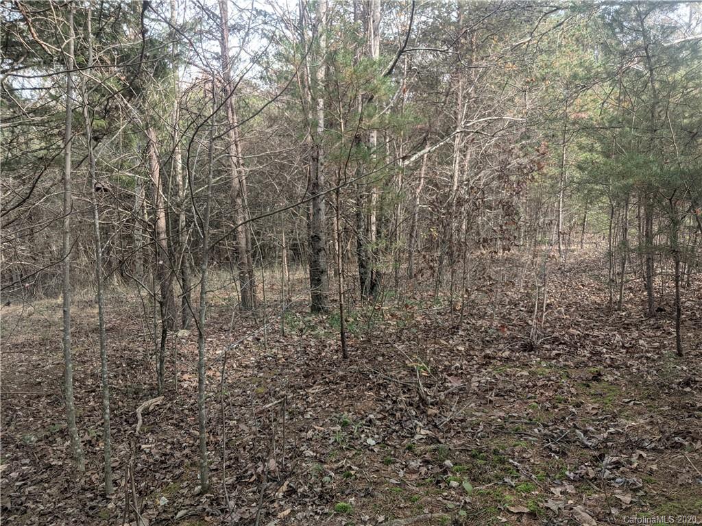 0 Hill Farm Road Hiddenite, NC 28636 - Photo 2 of 19 a view of a yard