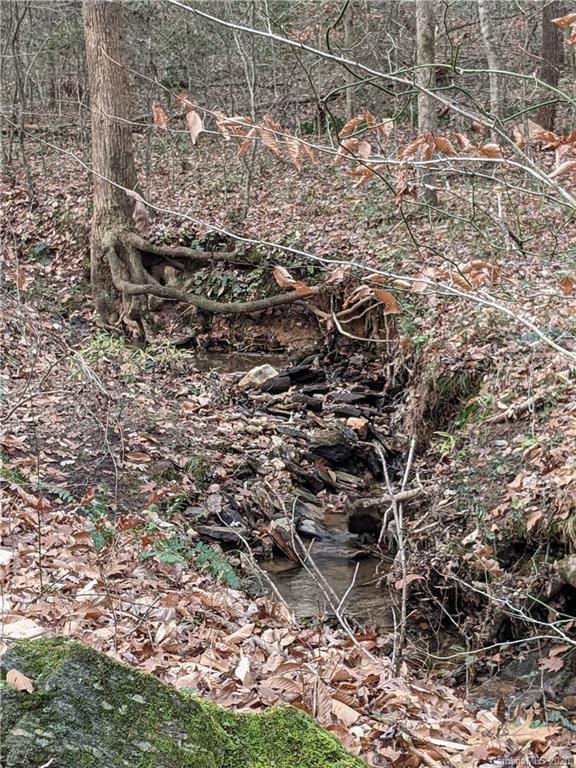 0 Hill Farm Road Hiddenite, NC 28636 - Photo 12 of 19