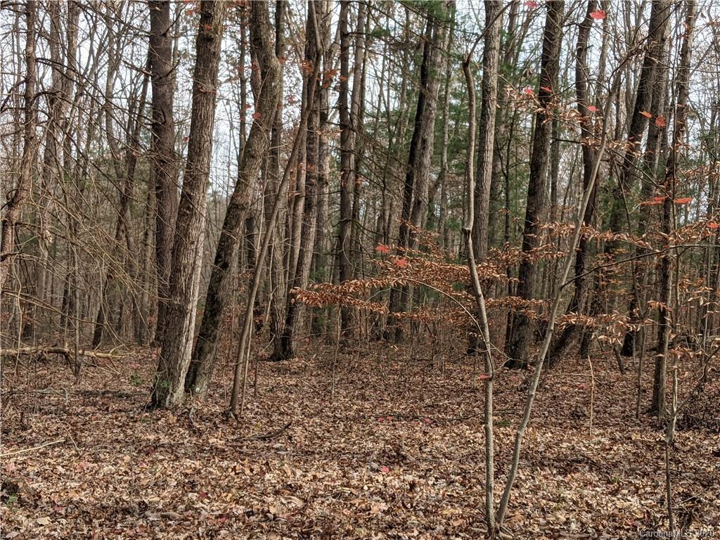 0 Hill Farm Road Hiddenite, NC 28636 - Photo 14 of 19 a view of outdoor space with lots of trees