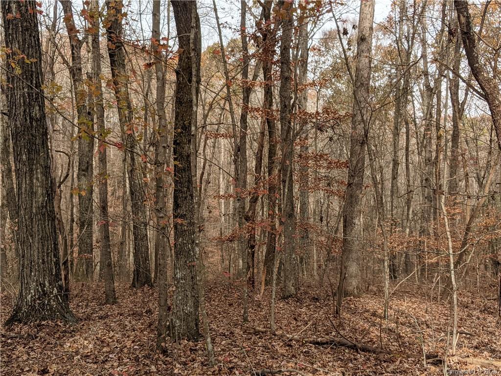 0 Hill Farm Road Hiddenite, NC 28636 - Photo 15 of 19 a view of a yard with lots of bushes