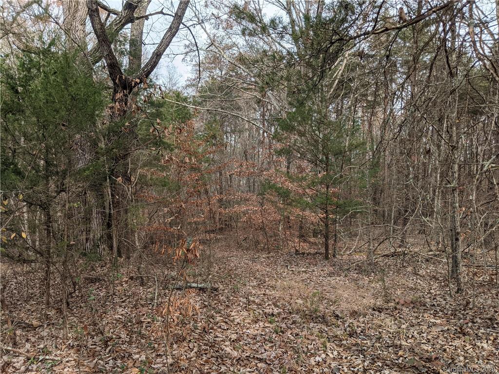 0 Hill Farm Road Hiddenite, NC 28636 - Photo 16 of 19 a view of a yard with trees