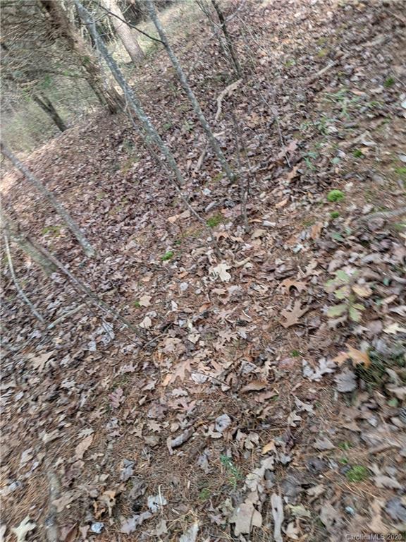 0 Hill Farm Road Hiddenite, NC 28636 - Photo 17 of 19