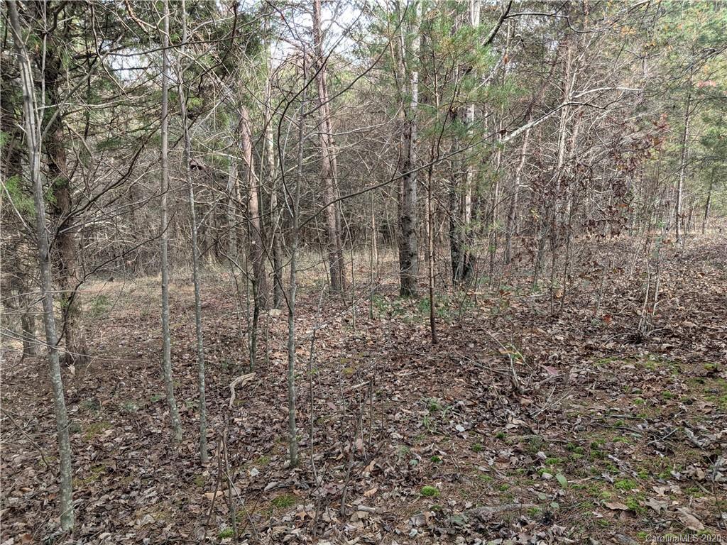 0 Hill Farm Road Hiddenite, NC 28636 - Photo 18 of 19 a view of a yard with a tree