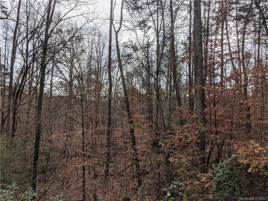 0 Hill Farm Road Hiddenite, NC 28636 - Photo 3 of 19 a view of forest