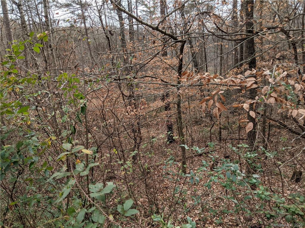 0 Hill Farm Road Hiddenite, NC 28636 - Photo 4 of 19 a backyard of a house with lots of green space
