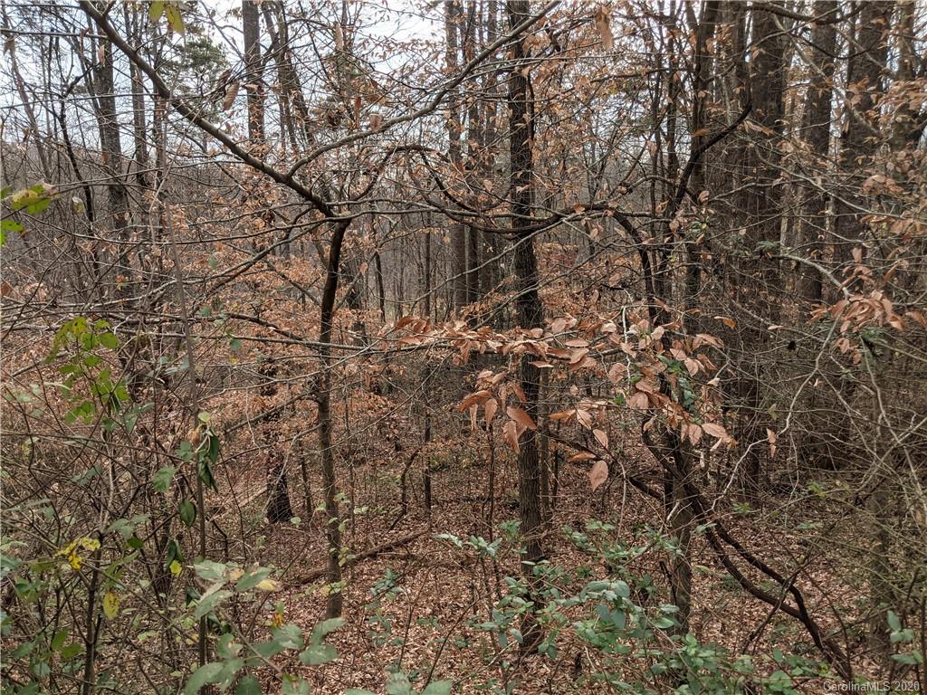 0 Hill Farm Road Hiddenite, NC 28636 - Photo 5 of 19 a view of covered with green space