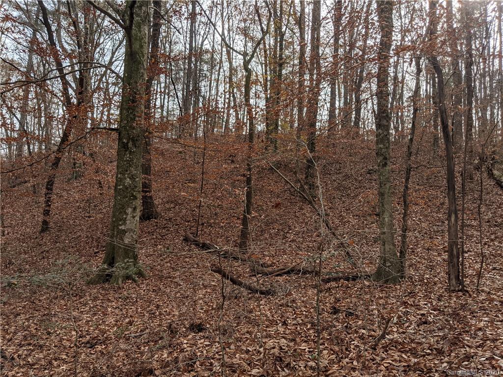 0 Hill Farm Road Hiddenite, NC 28636 - Photo 9 of 19 a view of a forest