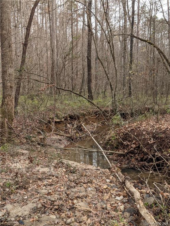 0 Hill Farm Road Hiddenite, NC 28636 - Photo 10 of 19 a backyard of a house with lots of green space