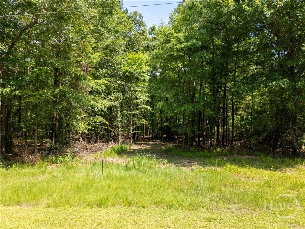 0 Winding Ridge Drive Dillard, GA 30537 - Photo 11 of 19 Gallery Image 11
