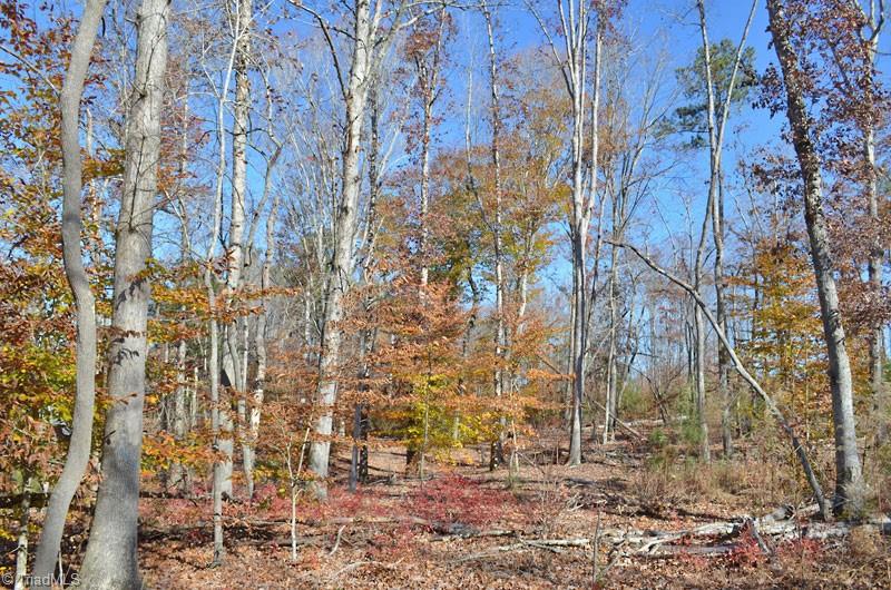 2 Fred Lineberry Road Randleman, NC 27317 - Photo 26 of 36 Gallery Image 26