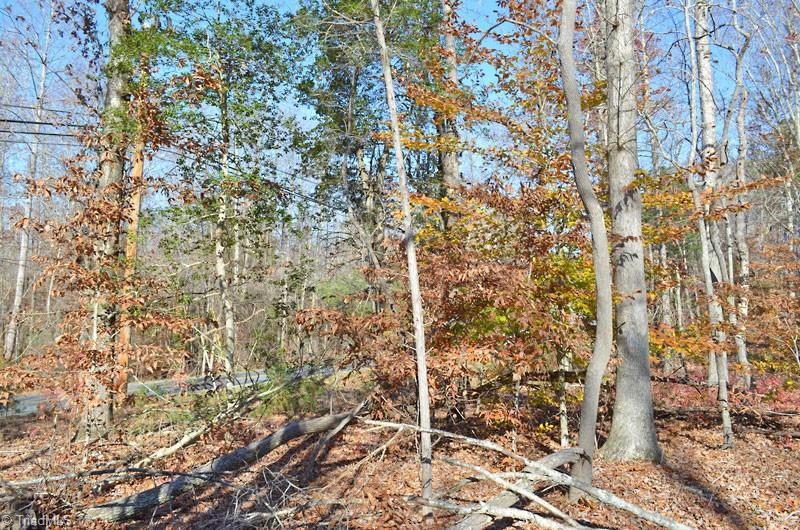 2 Fred Lineberry Road Randleman, NC 27317 - Photo 27 of 36 Gallery Image 27