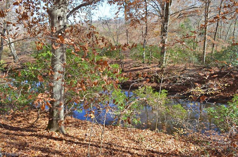 2 Fred Lineberry Road Randleman, NC 27317 - Photo 9 of 36 Gallery Image 9