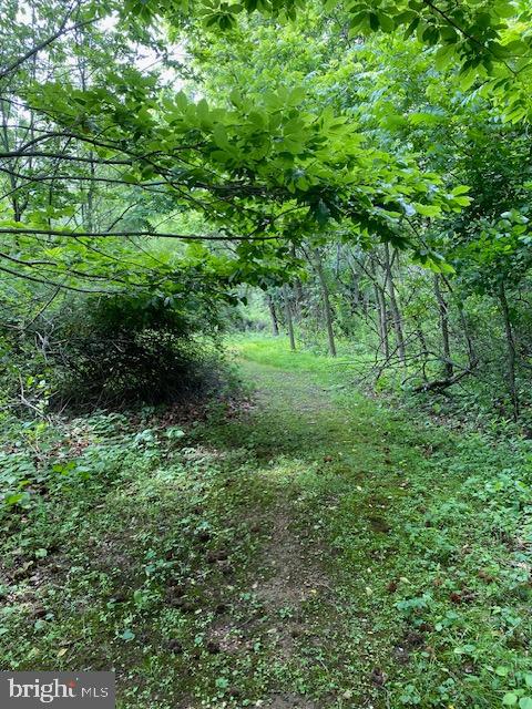 0 Hidden Valley Road Pine Grove, PA 17963 - Photo 3 of 12 Gallery Image 3