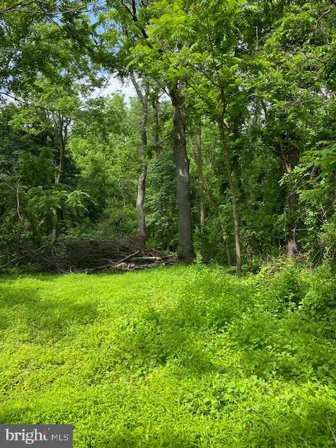 0 Hidden Valley Road Pine Grove, PA 17963 - Photo 10 of 12 Gallery Image 10
