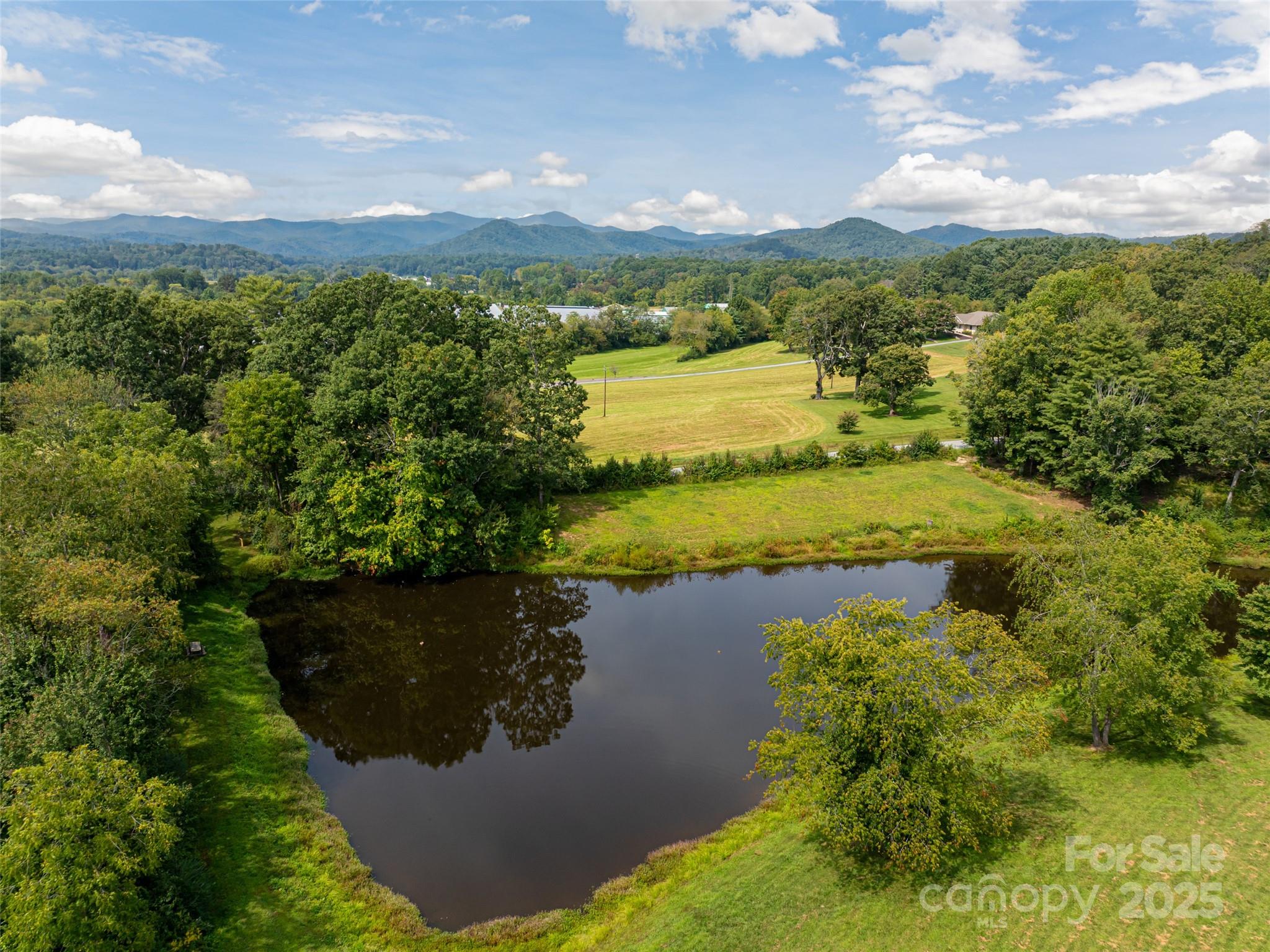 301 Majestic Ridge Road, Unit 57 Mills River, NC 28759 - Photo 14 of 25 a view of a lake with a mountain