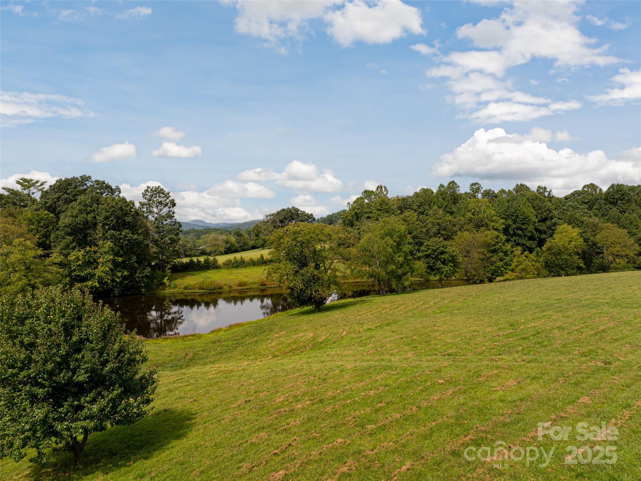 301 Majestic Ridge Road, Unit 57 Mills River, NC 28759 - Photo 7 of 25 a view of an ocean