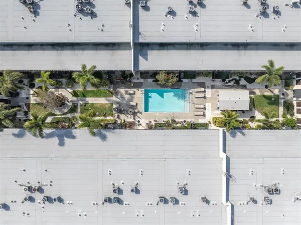 a picture of a bathroom with a potted plant