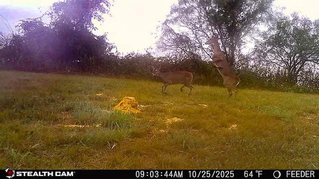 a view of lake view and mountain view
