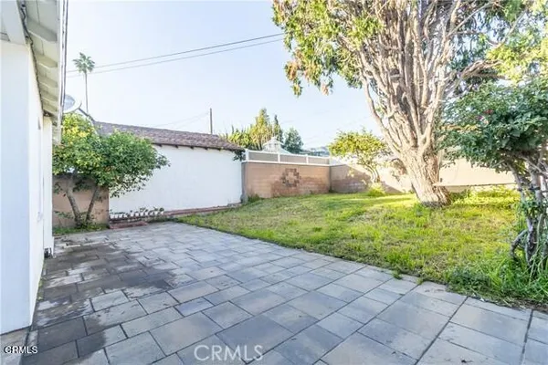 a view of a yard with plants and a large tree