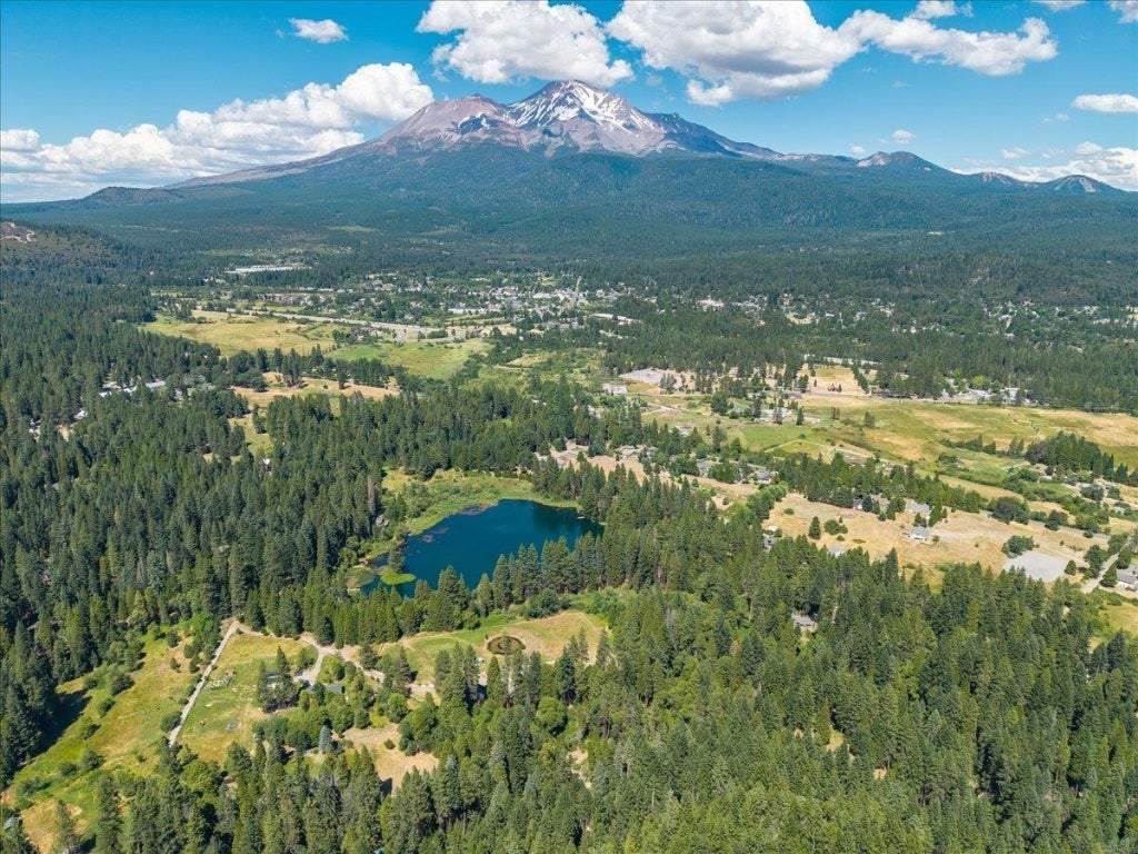 Lot #31 North Shasta Ranch Road North Mount Shasta, CA 96067 - Photo 1 of 11 Gallery Image 1