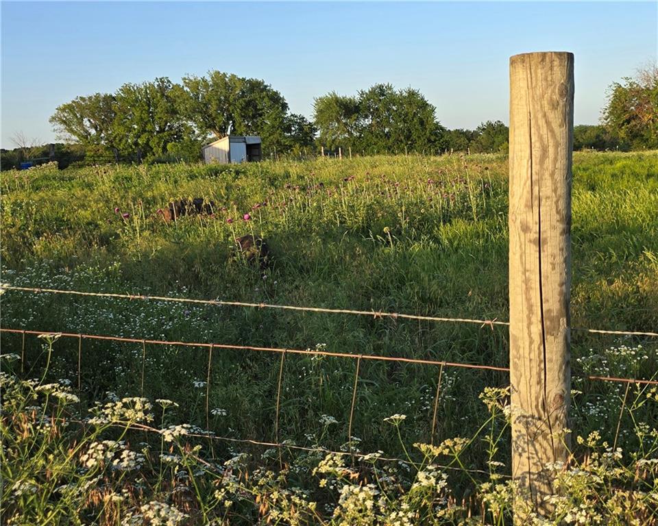 27722 South Groh Road Cleveland, MO 64734 - Photo 13 of 14