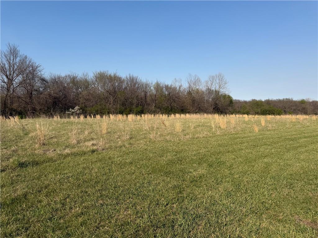 27722 South Groh Road Cleveland, MO 64734 - Photo 7 of 14