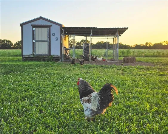 $550,000 | 27722 South Groh Road, Cleveland, MO 64734