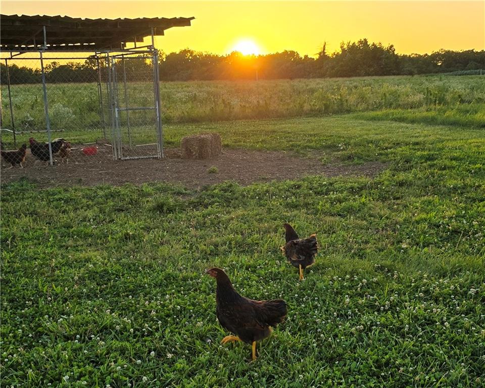 27722 South Groh Road Cleveland, MO 64734 - Photo 10 of 14