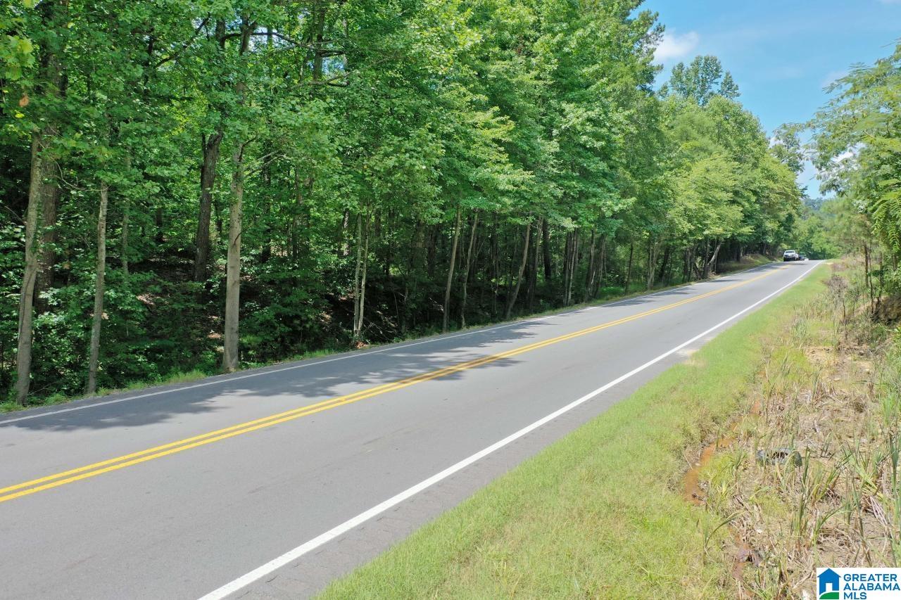 0 US Highway 278 Altoona, AL 35952 - Photo 13 of 14