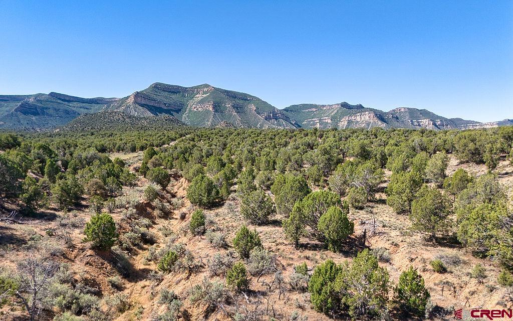 Tbd Rd F Cortez, CO 81321 - Photo 16 of 23